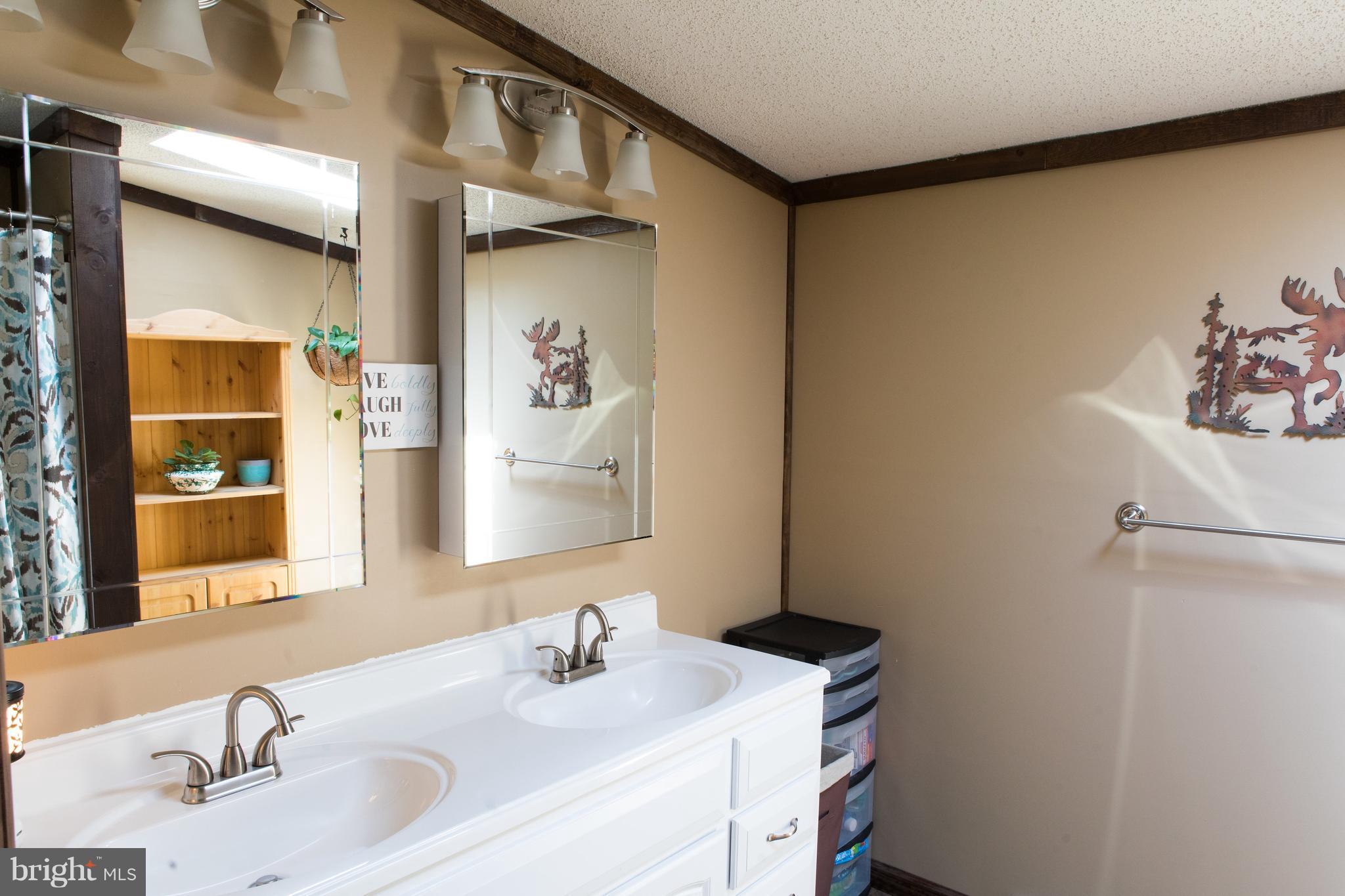 248 Sand Mine Road Gore, VA 22637 - Photo 20 of 27 Double vanity in the master bath