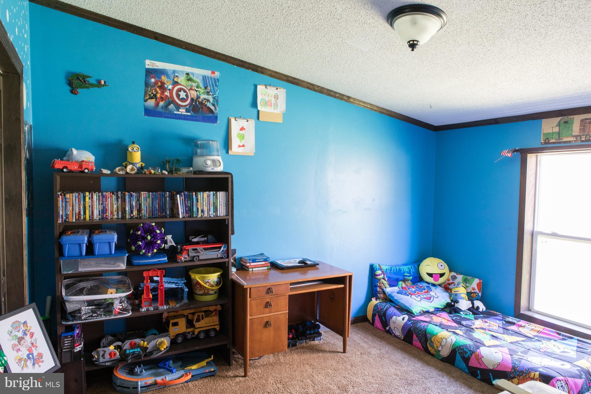 248 Sand Mine Road Gore, VA 22637 - Photo 21 of 27 Bedroom 2 with big closet
