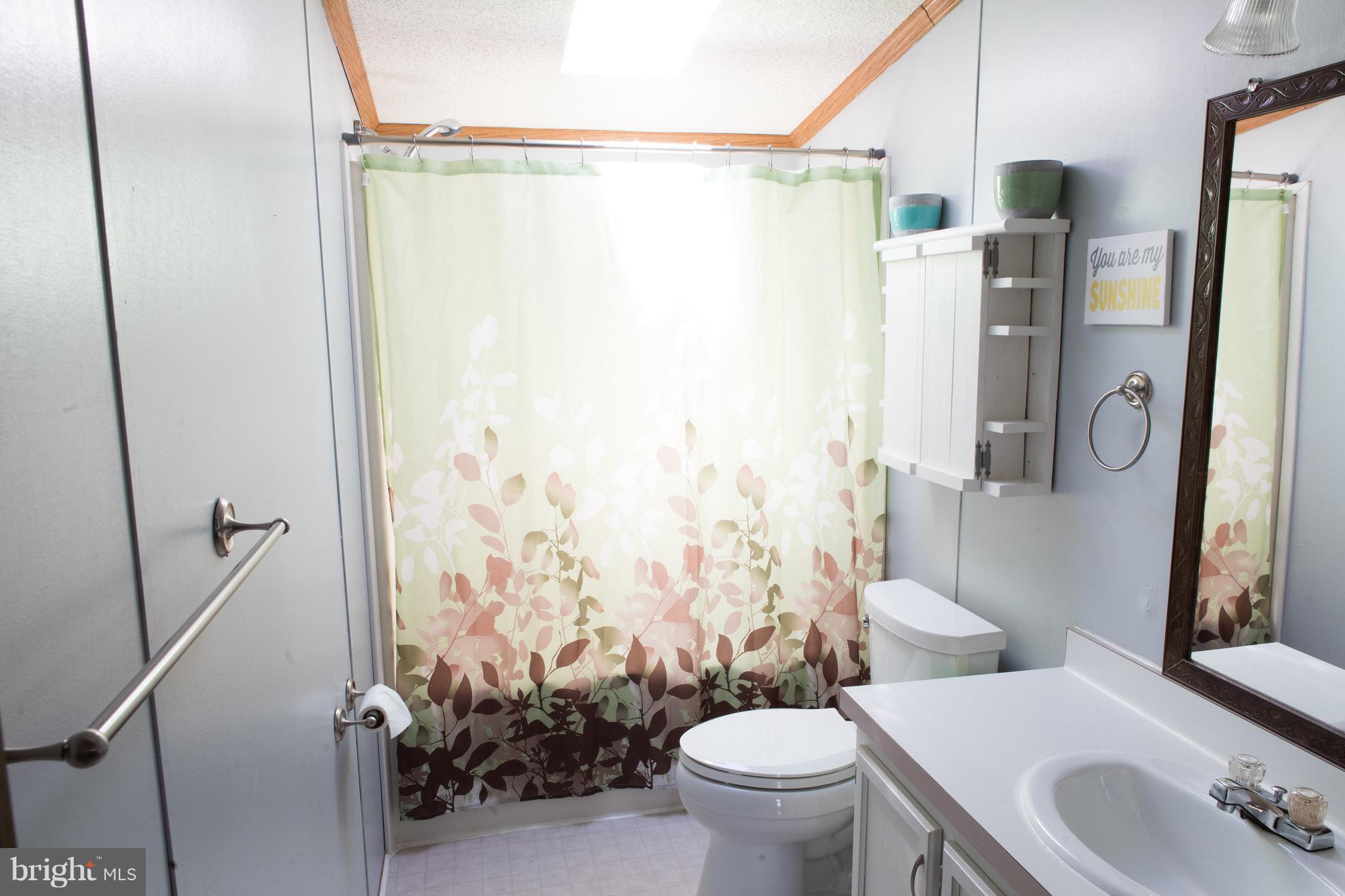 248 Sand Mine Road Gore, VA 22637 - Photo 26 of 27 2nd full bath with lovely skylight!