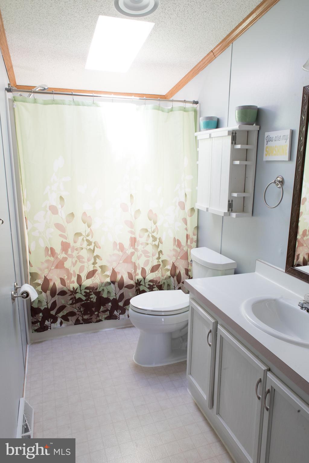 248 Sand Mine Road Gore, VA 22637 - Photo 27 of 27 2nd full bath with lovely skylight!
