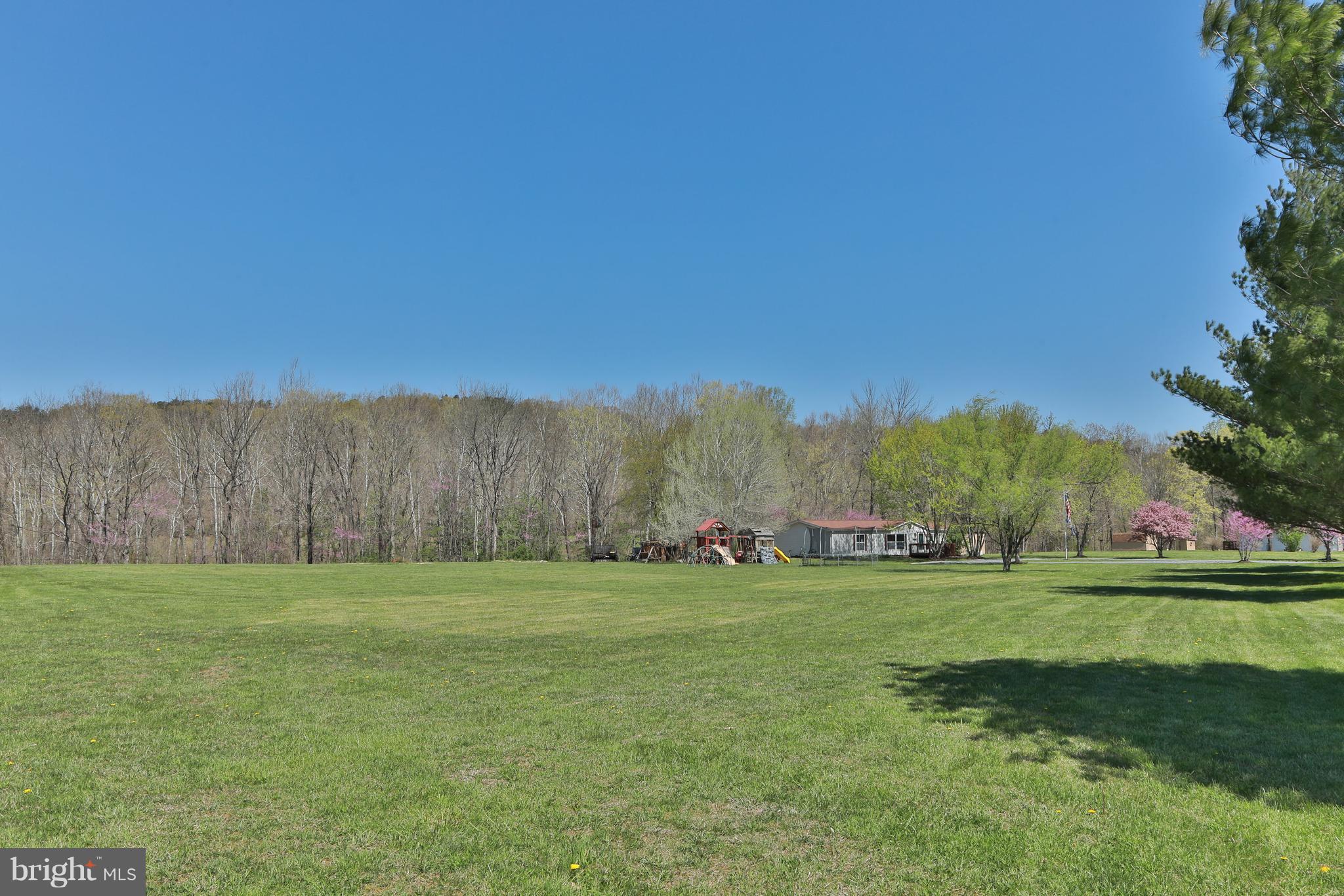 248 Sand Mine Road Gore, VA 22637 - Photo 4 of 27 Front left corner of lot - 2 acres!