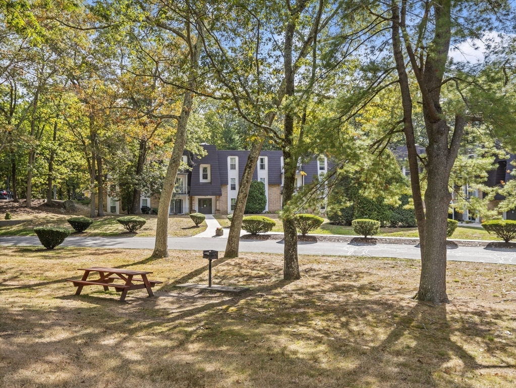 7 Shadowbrook Lane, Unit 9 Milford, MA 01757 - Photo 25 of 41 a view of a yard with trees