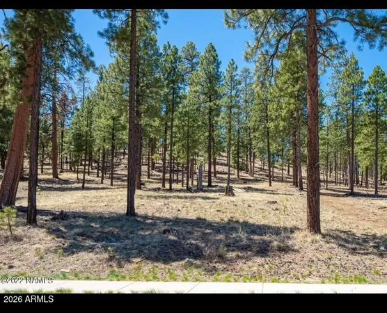 a view of a backyard with trees