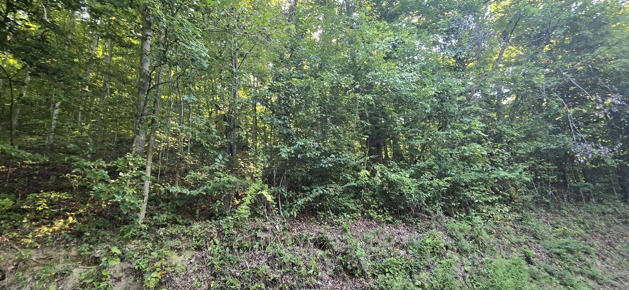 9999 Dora Clark Branch Road Flat Lick, KY 40935 - Photo 18 of 33 9999 Dora Clark