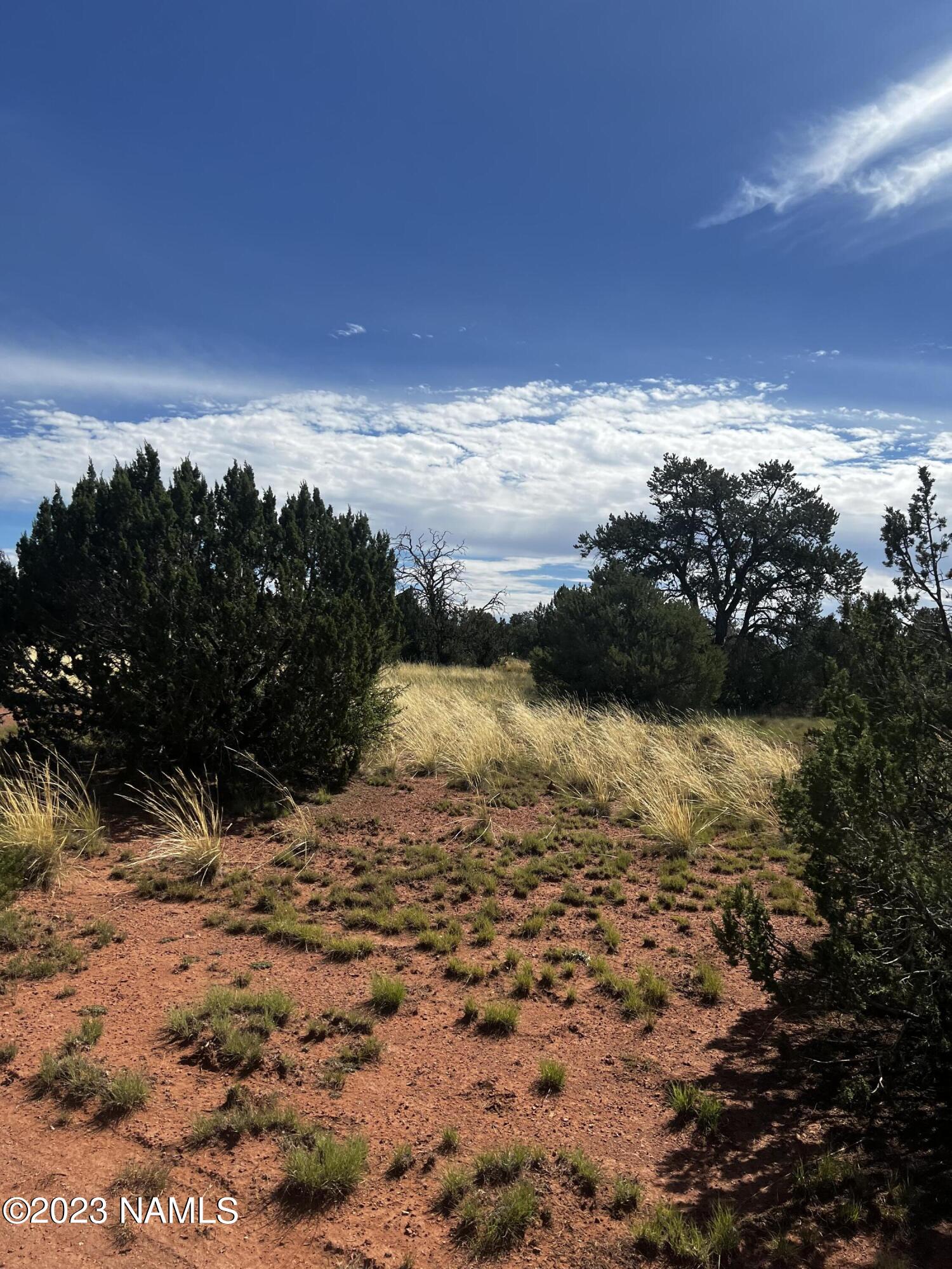 4446 Goldenrod Road Williams, AZ 86046 - Photo 3 of 5 gplden5'