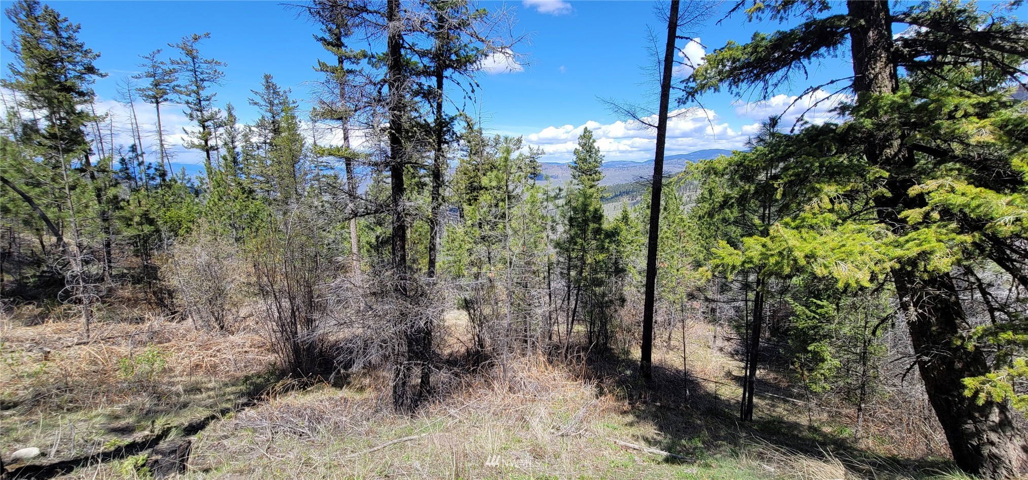 0 Tbd Blue Creek Road Riverside, WA 98849 - Photo 10 of 10 Gallery Image 10