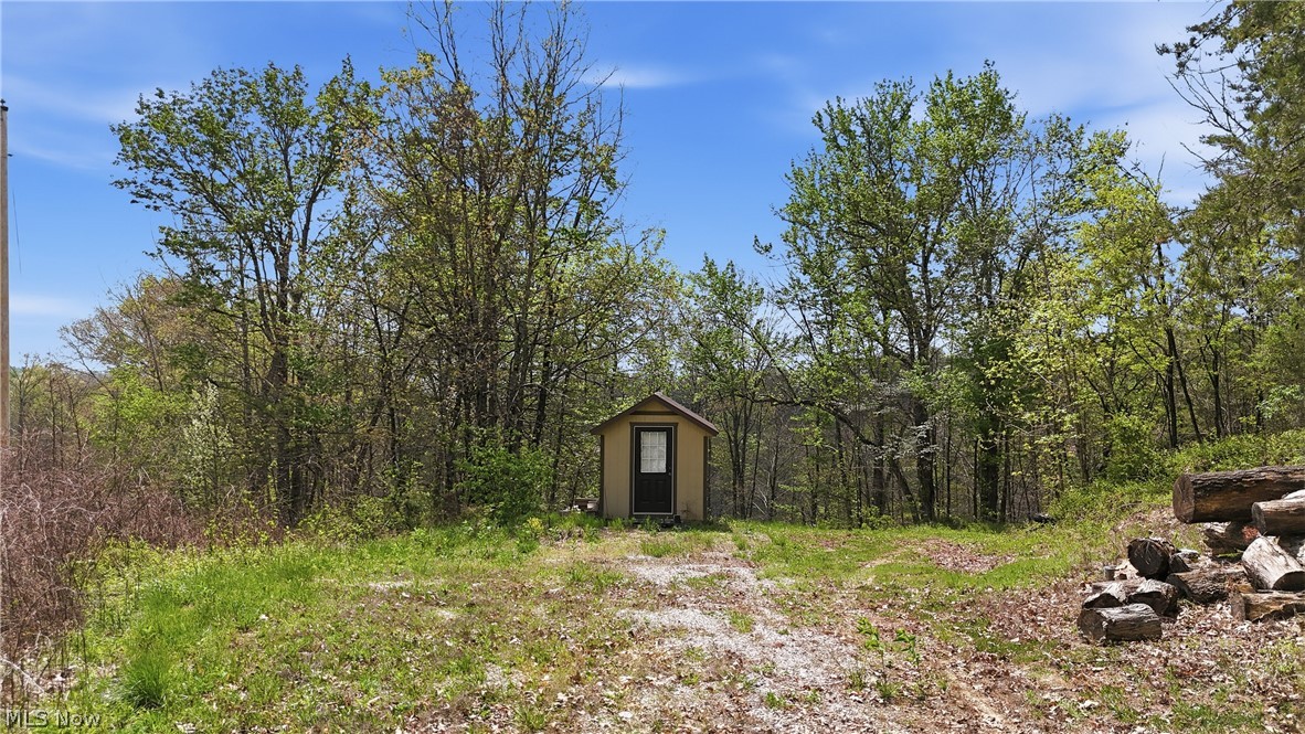 Beardmore Road Wingett Run, OH 45789 - Photo 2 of 43