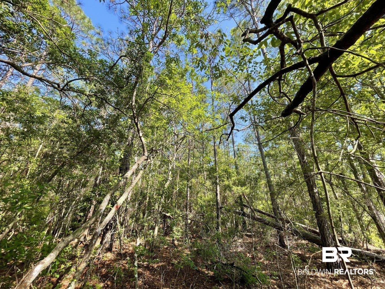 0 Bellingrath Road Coden, AL 36523 - Photo 6 of 11