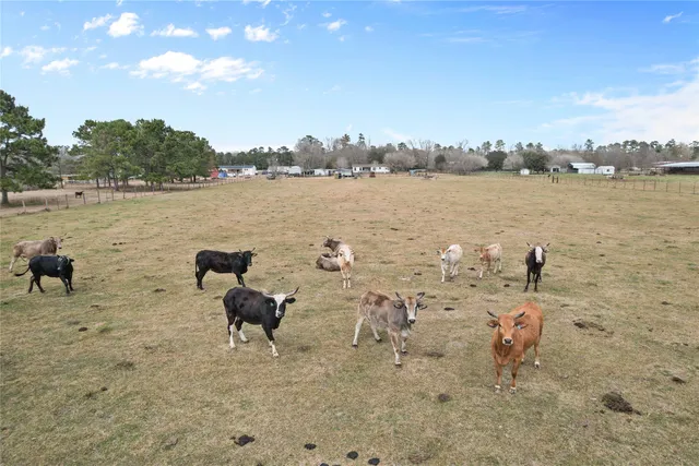 $315,000 | 290 County Road 2286, Cleveland, TX 77327