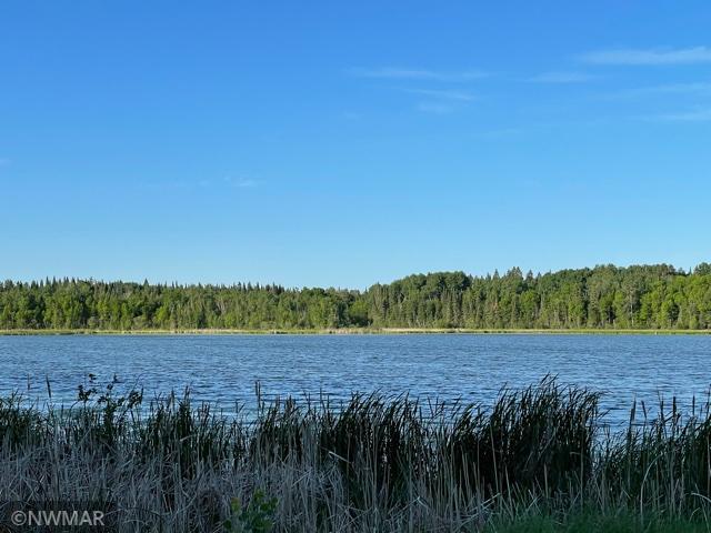 Tbd Tbd Stockyard Road Bagley, MN 56621 - Photo 1 of 1 Gallery Image 1