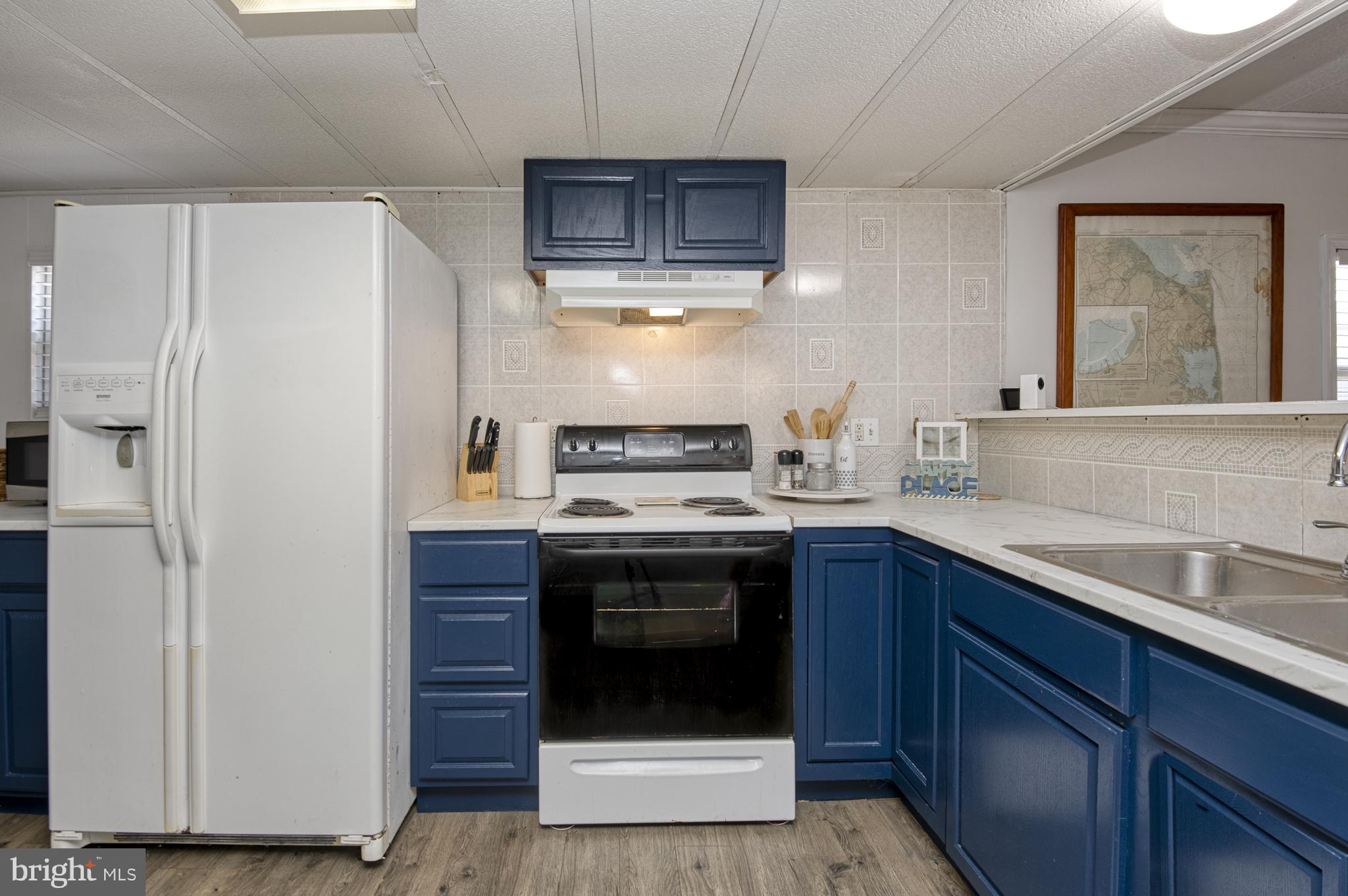 25804 Blue Ridge Street, Unit 4203 Millsboro, DE 19966 - Photo 21 of 35 Updated cabinets