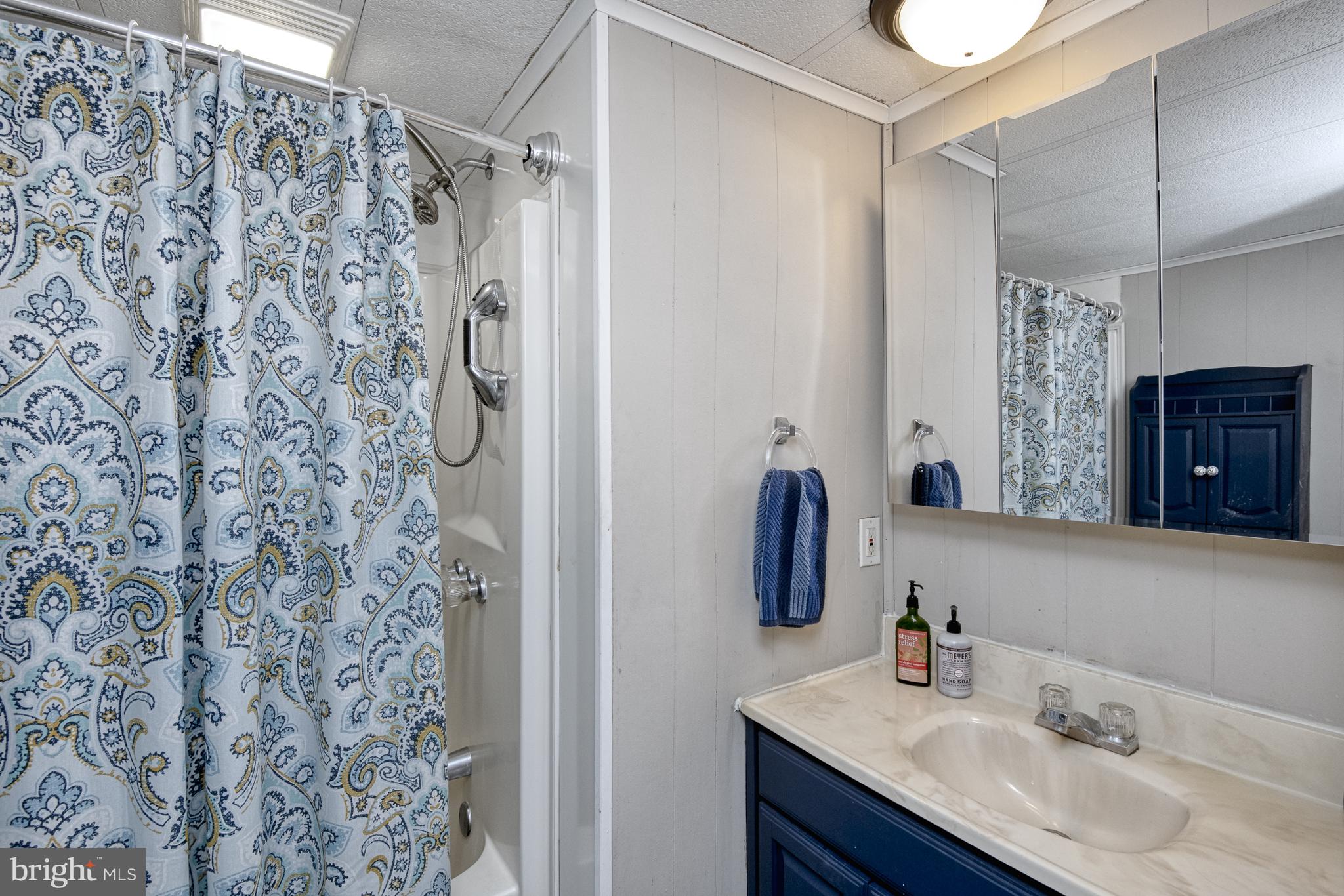 25804 Blue Ridge Street, Unit 4203 Millsboro, DE 19966 - Photo 25 of 35 Full bath in between two rear bedrooms