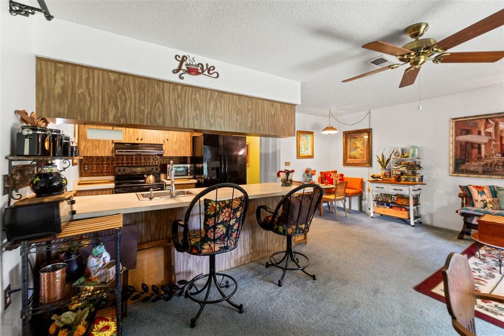10541 Green Meadow Lane Port Richey, FL 34668 - Photo 13 of 41