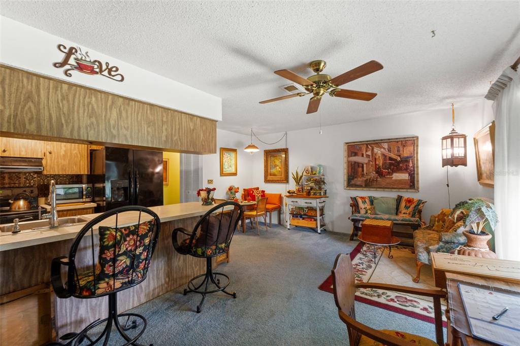 10541 Green Meadow Lane Port Richey, FL 34668 - Photo 14 of 41