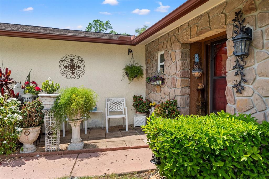10541 Green Meadow Lane Port Richey, FL 34668 - Photo 3 of 41