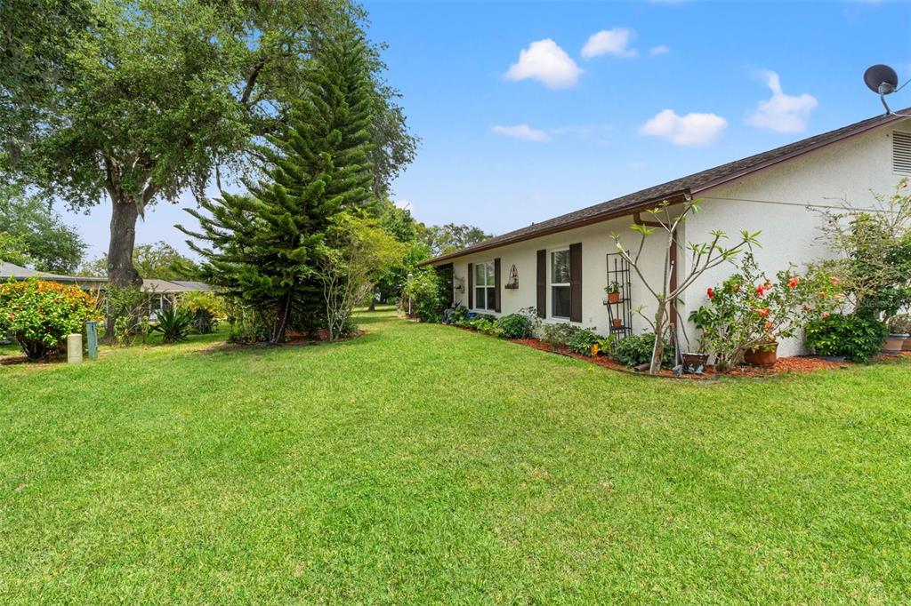 10541 Green Meadow Lane Port Richey, FL 34668 - Photo 33 of 41