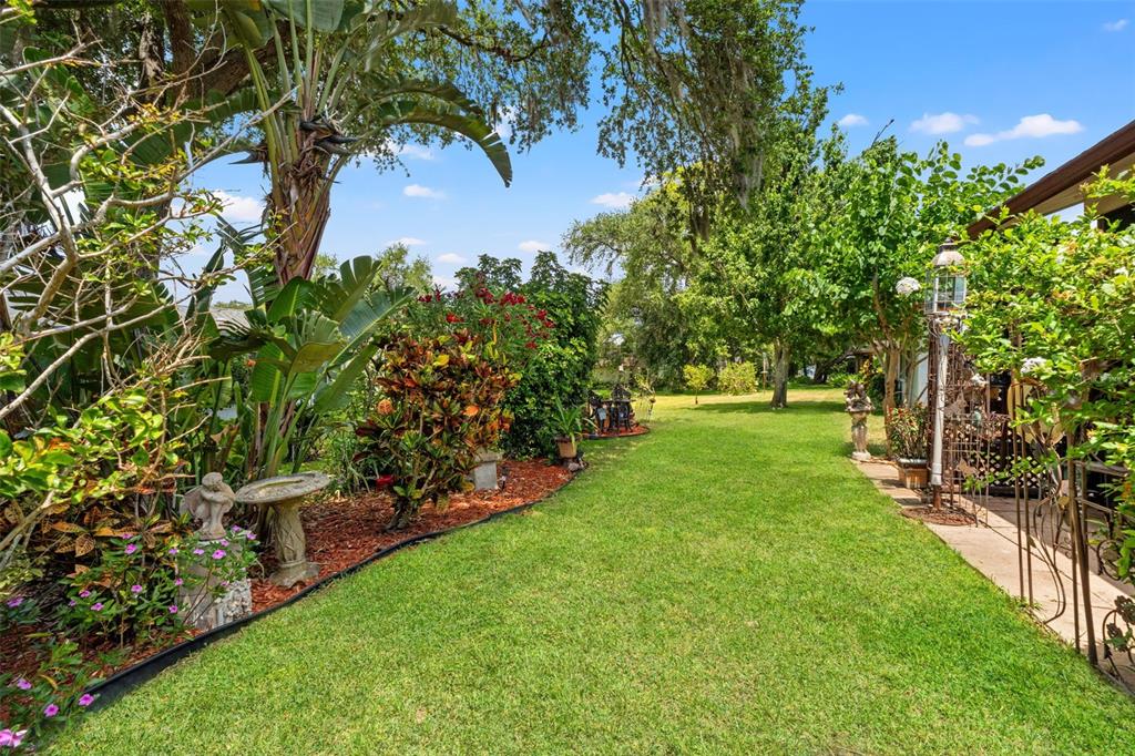 10541 Green Meadow Lane Port Richey, FL 34668 - Photo 34 of 41
