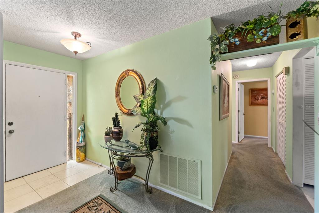 10541 Green Meadow Lane Port Richey, FL 34668 - Photo 36 of 41
