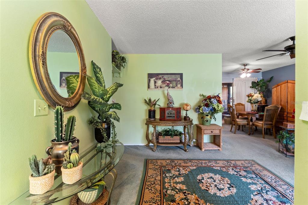 10541 Green Meadow Lane Port Richey, FL 34668 - Photo 4 of 41