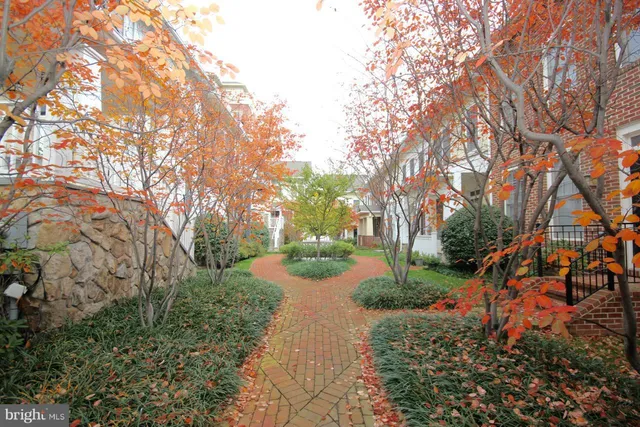 a view of a yard with plants and trees