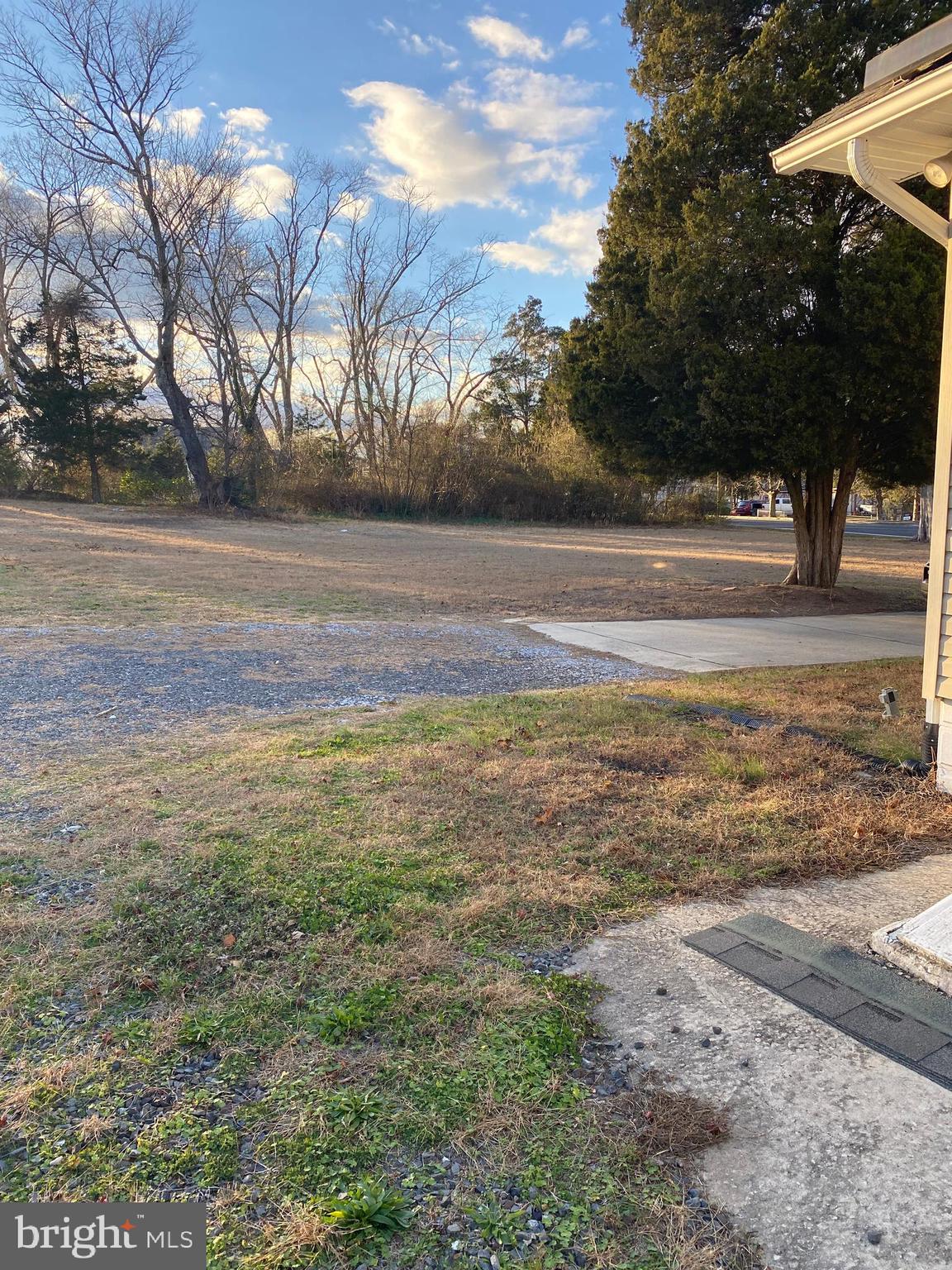 2419 Newcombtown Road Millville, NJ 08332 - Photo 31 of 34 a view of yard with tree