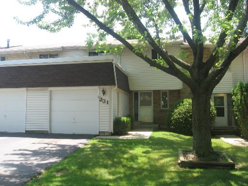 231 Diane Lane Bolingbrook, IL 60440 - Photo 1 of 1