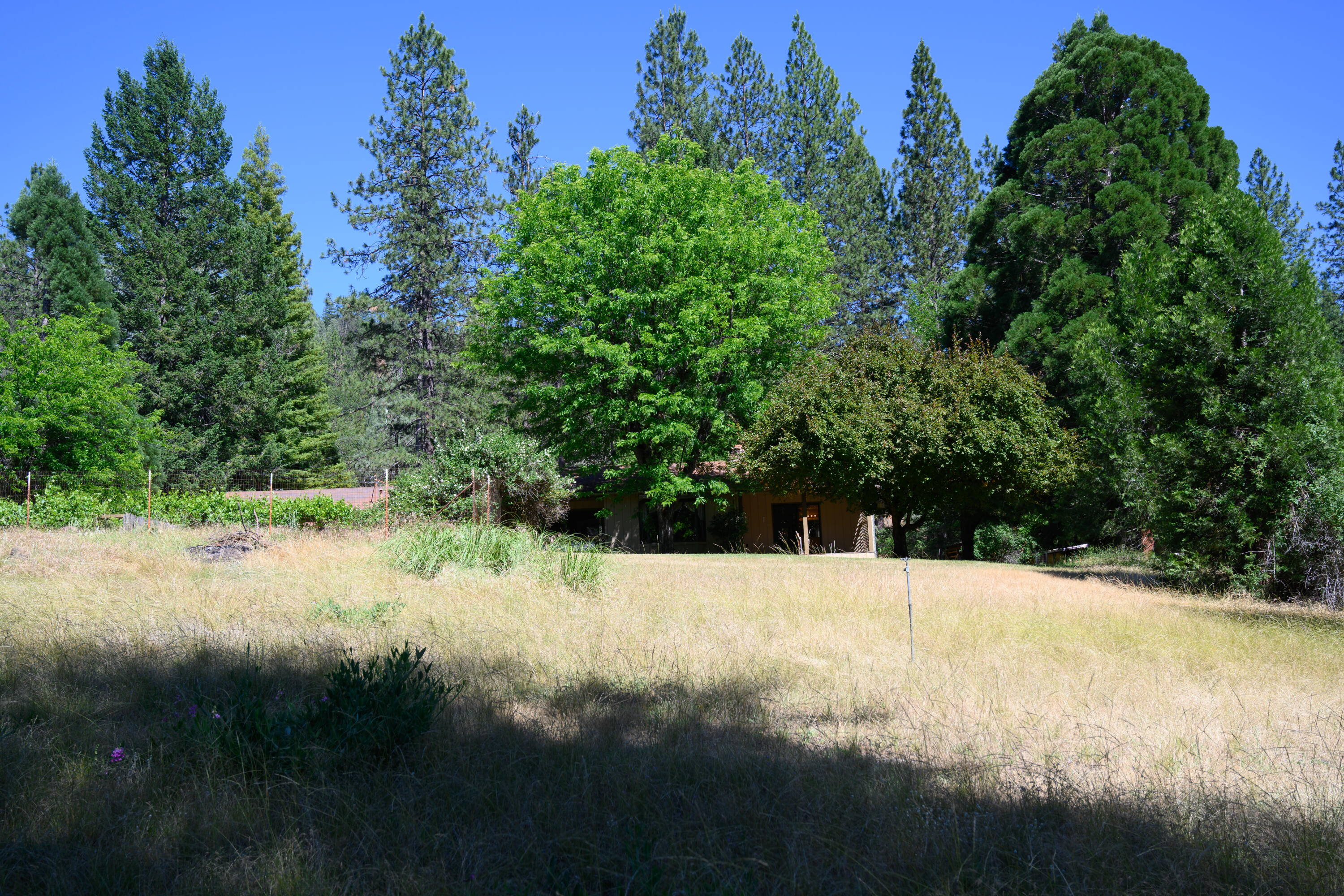 181 Meadow Road Weaverville, CA 96093 - Photo 36 of 38 rear lot