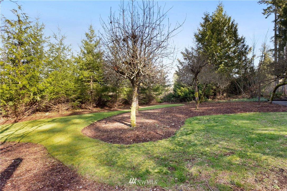 281 Southeast Taylor Road Shelton, WA 98584 - Photo 23 of 29 Gallery Image 23