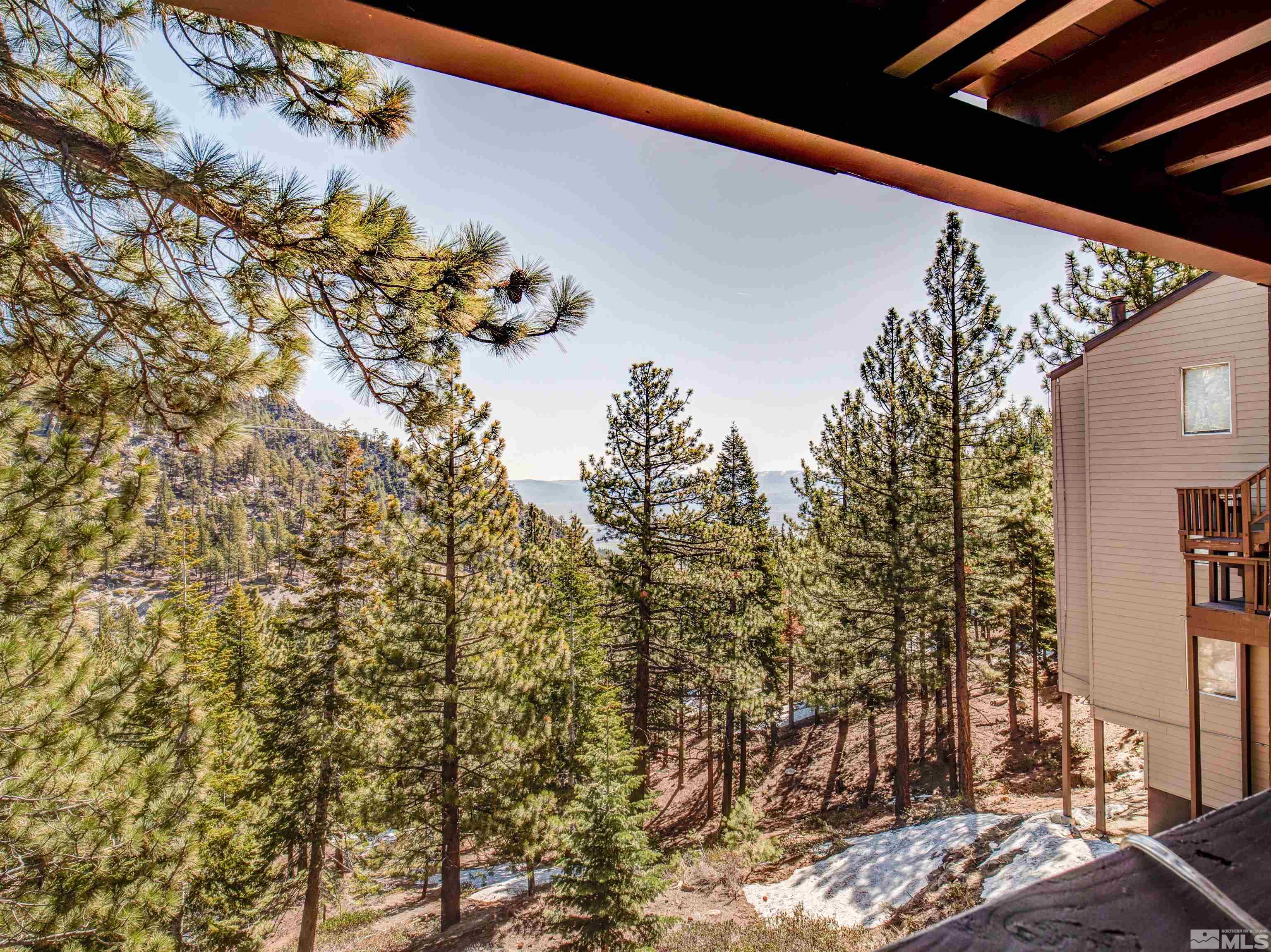 111 Tramway Drive, Unit 2 Stateline, NV 89449 - Photo 21 of 37 a view of a forest