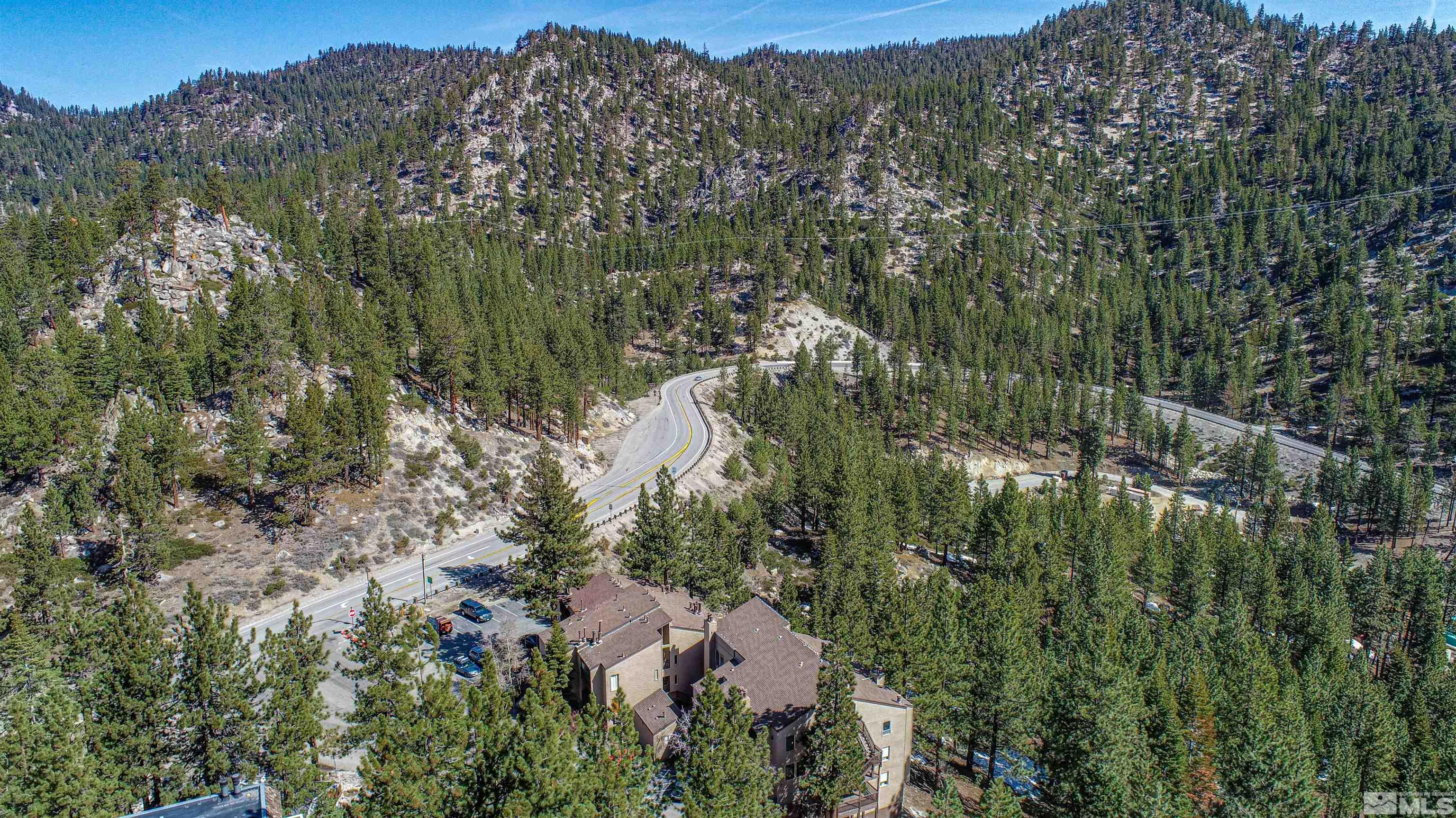 111 Tramway Drive, Unit 2 Stateline, NV 89449 - Photo 25 of 37 a view of a forest with a lush green forest