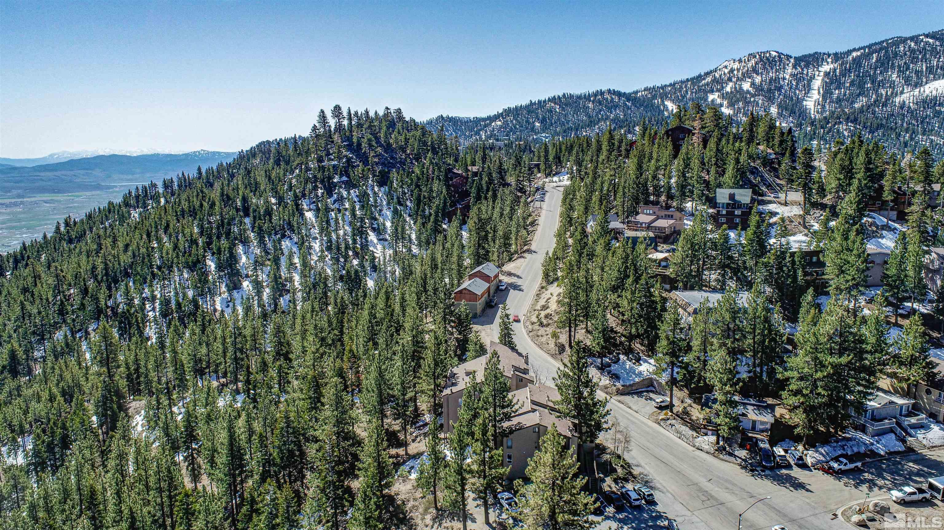 111 Tramway Drive, Unit 2 Stateline, NV 89449 - Photo 32 of 37 a view of a garden with a building in background