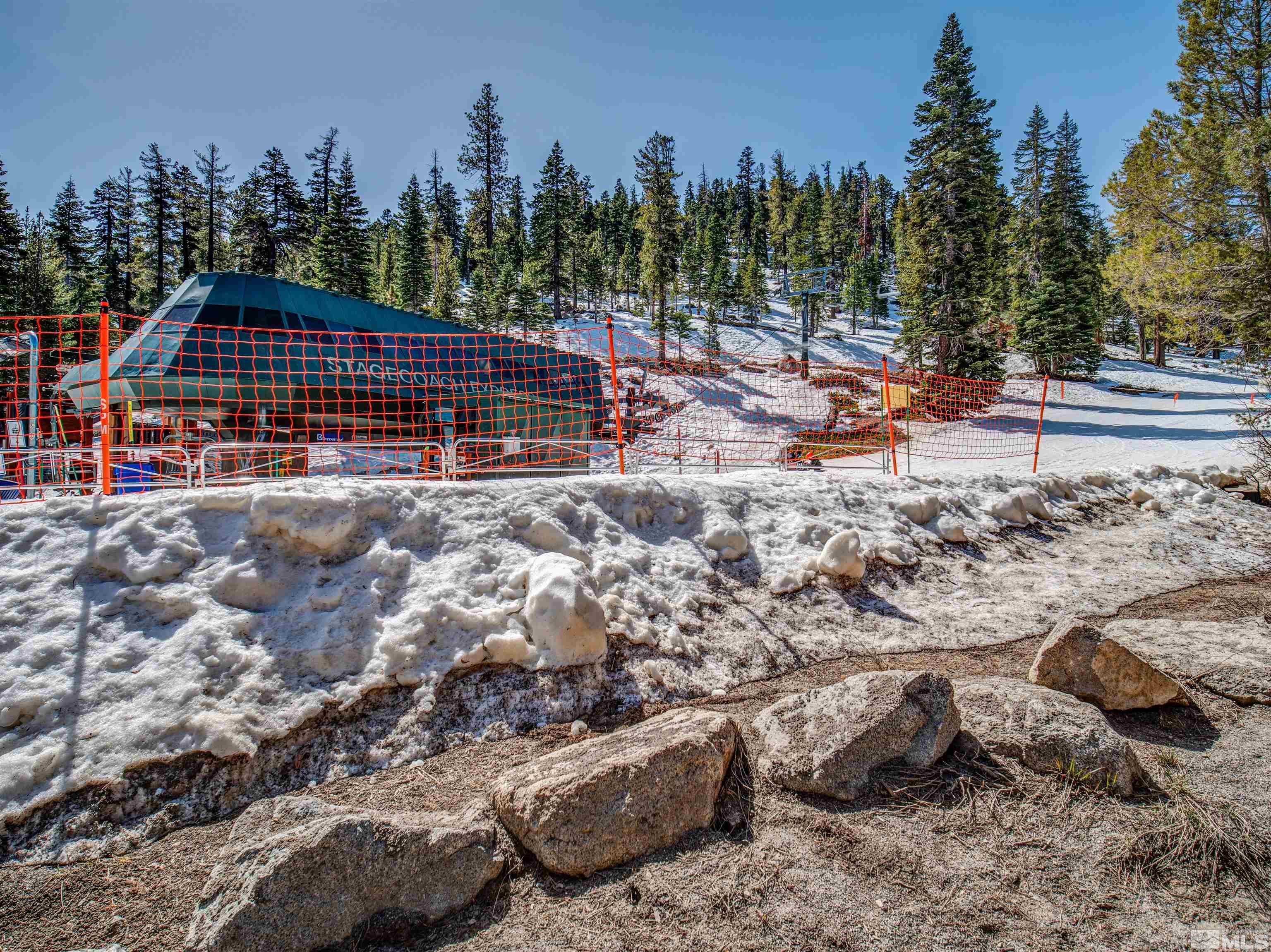 111 Tramway Drive, Unit 2 Stateline, NV 89449 - Photo 36 of 37 a view of a backyard with plants and trees