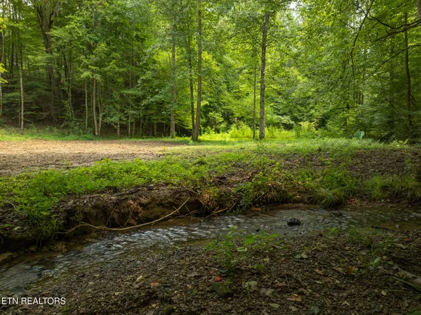 $95,000 | Lot 5-6 Ardell Way, Cosby, TN 37722
