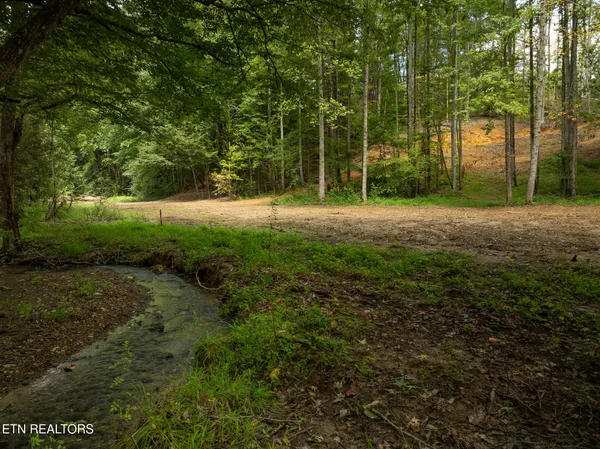 $95,000 | Lot 5-6 Ardell Way, Cosby, TN 37722