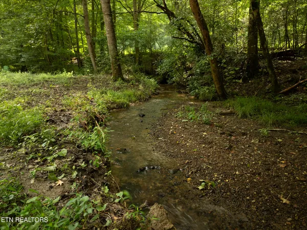 $95,000 | Lot 5-6 Ardell Way, Cosby, TN 37722