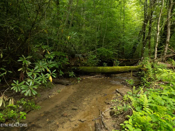 $95,000 | Lot 5-6 Ardell Way, Cosby, TN 37722