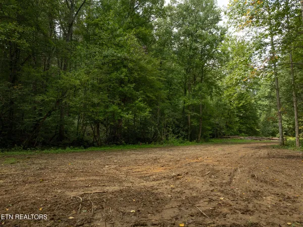 $95,000 | Lot 5-6 Ardell Way, Cosby, TN 37722