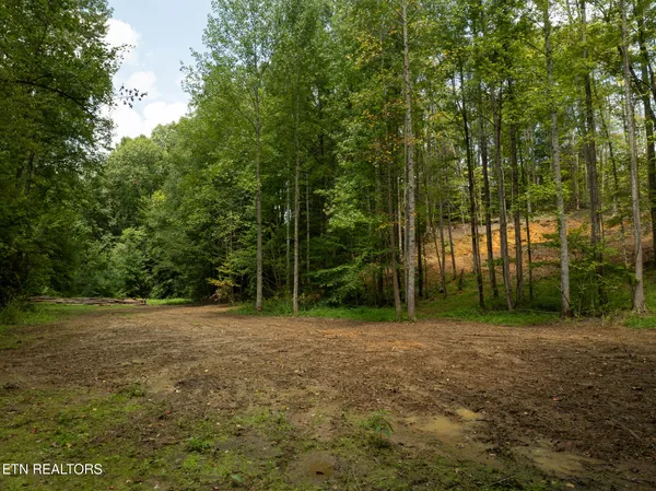 $95,000 | Lot 5-6 Ardell Way, Cosby, TN 37722