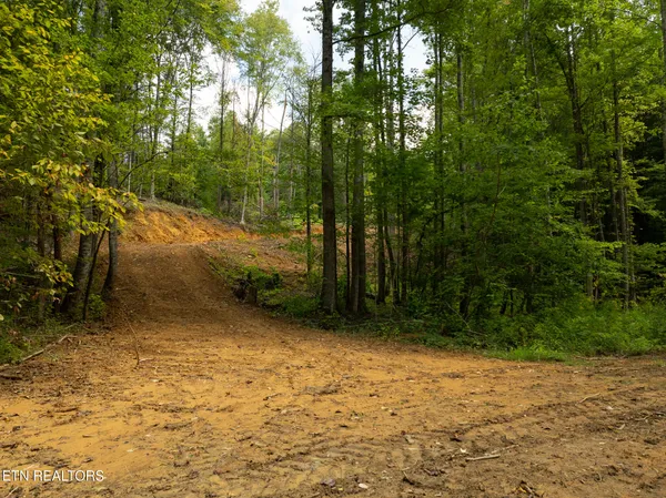 $95,000 | Lot 5-6 Ardell Way, Cosby, TN 37722