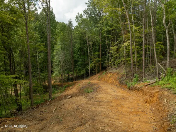 $95,000 | Lot 5-6 Ardell Way, Cosby, TN 37722