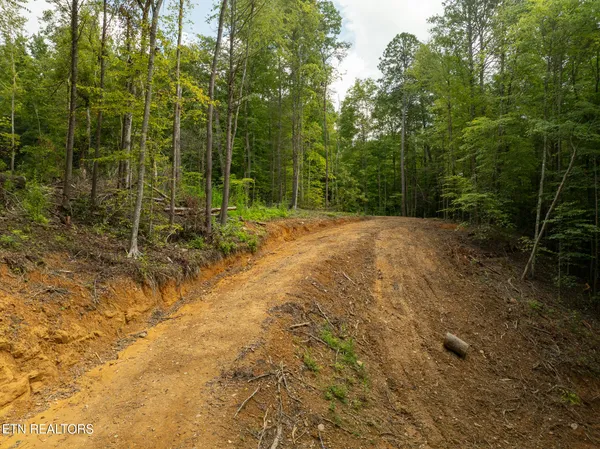 $95,000 | Lot 5-6 Ardell Way, Cosby, TN 37722