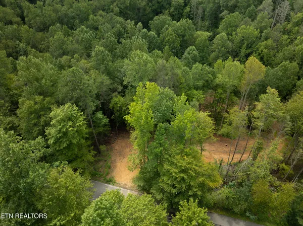 $95,000 | Lot 5-6 Ardell Way, Cosby, TN 37722