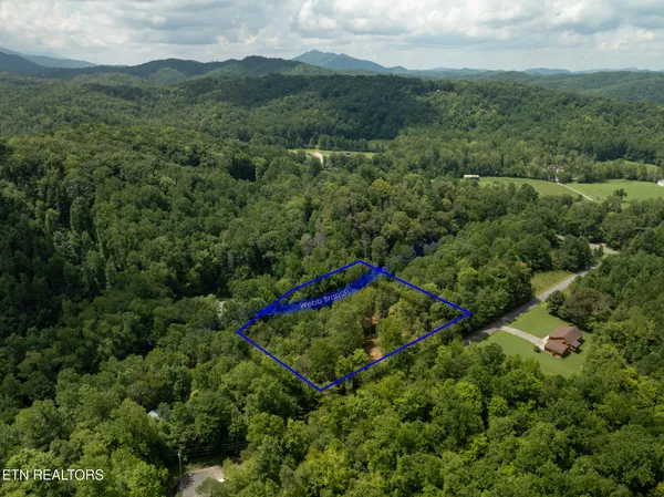 $95,000 | Lot 5-6 Ardell Way, Cosby, TN 37722