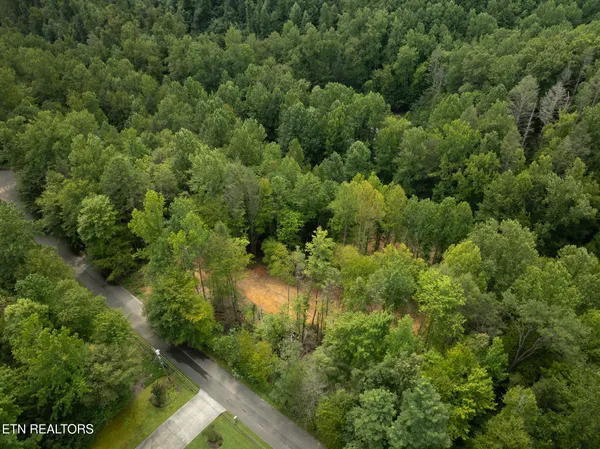 $95,000 | Lot 5-6 Ardell Way, Cosby, TN 37722