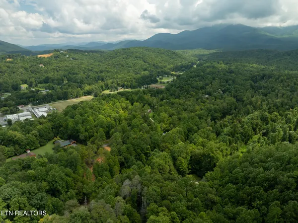 $95,000 | Lot 5-6 Ardell Way, Cosby, TN 37722