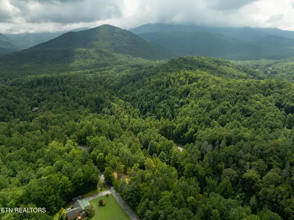 $95,000 | Lot 5-6 Ardell Way, Cosby, TN 37722