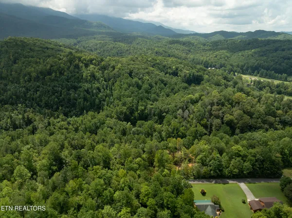 $95,000 | Lot 5-6 Ardell Way, Cosby, TN 37722