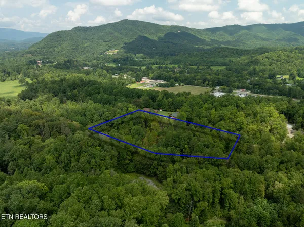 $95,000 | Lot 5-6 Ardell Way, Cosby, TN 37722