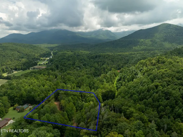 $95,000 | Lot 5-6 Ardell Way, Cosby, TN 37722