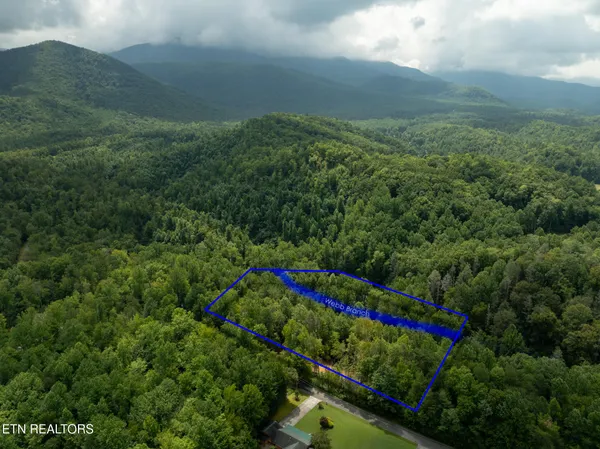 $95,000 | Lot 5-6 Ardell Way, Cosby, TN 37722